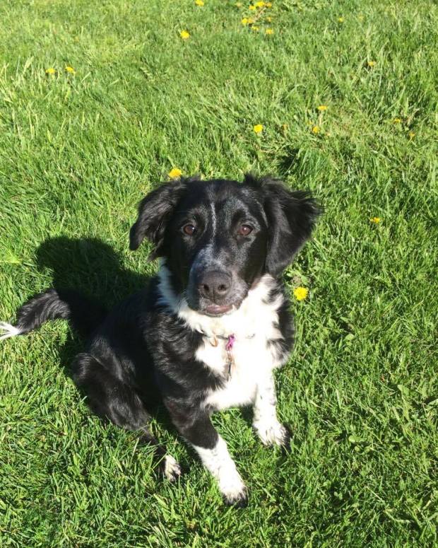 18871244_10110607574272944_228873571_n