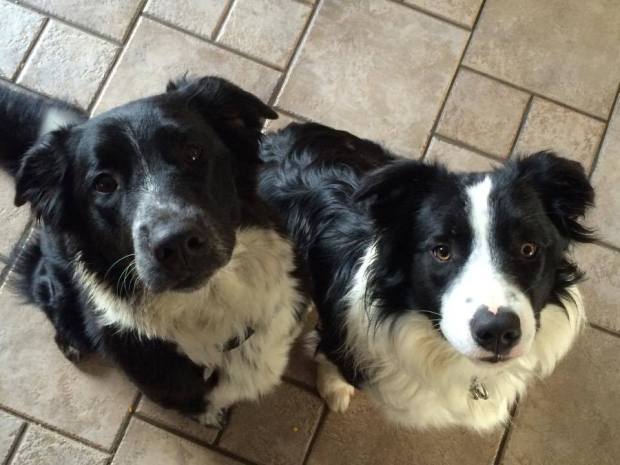 18928289_10110607518888934_135788626_n