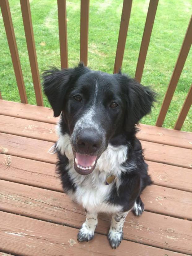 18944678_10110607574332824_856112138_n