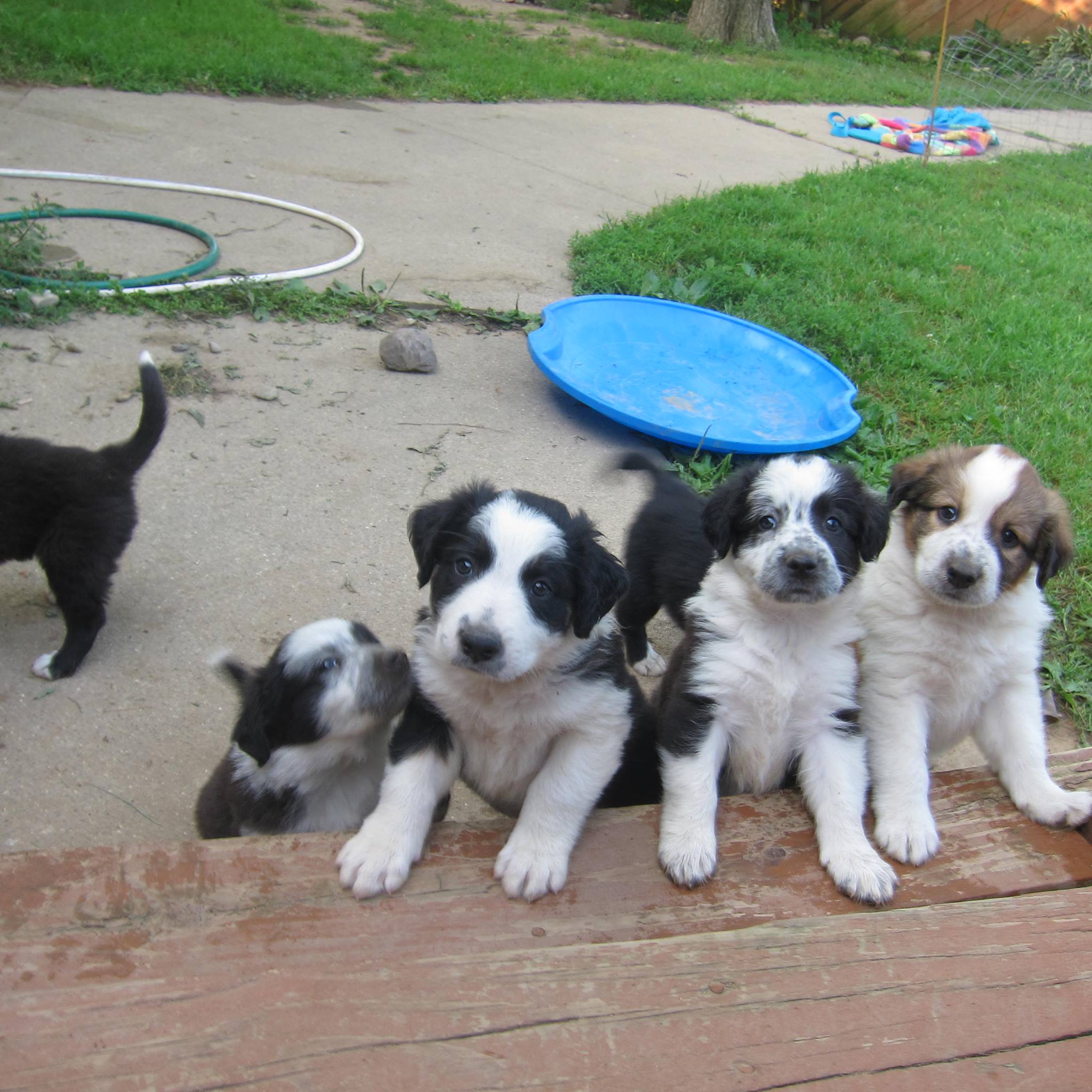 23415454_10111680197138124_6164664699436264658_o