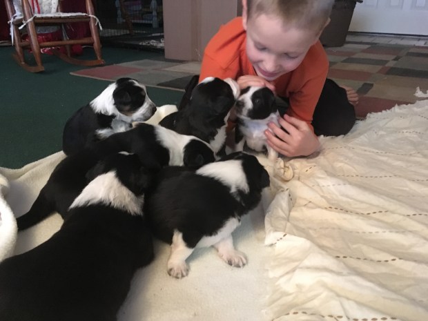 27329840_10112128133954154_1388395620_o