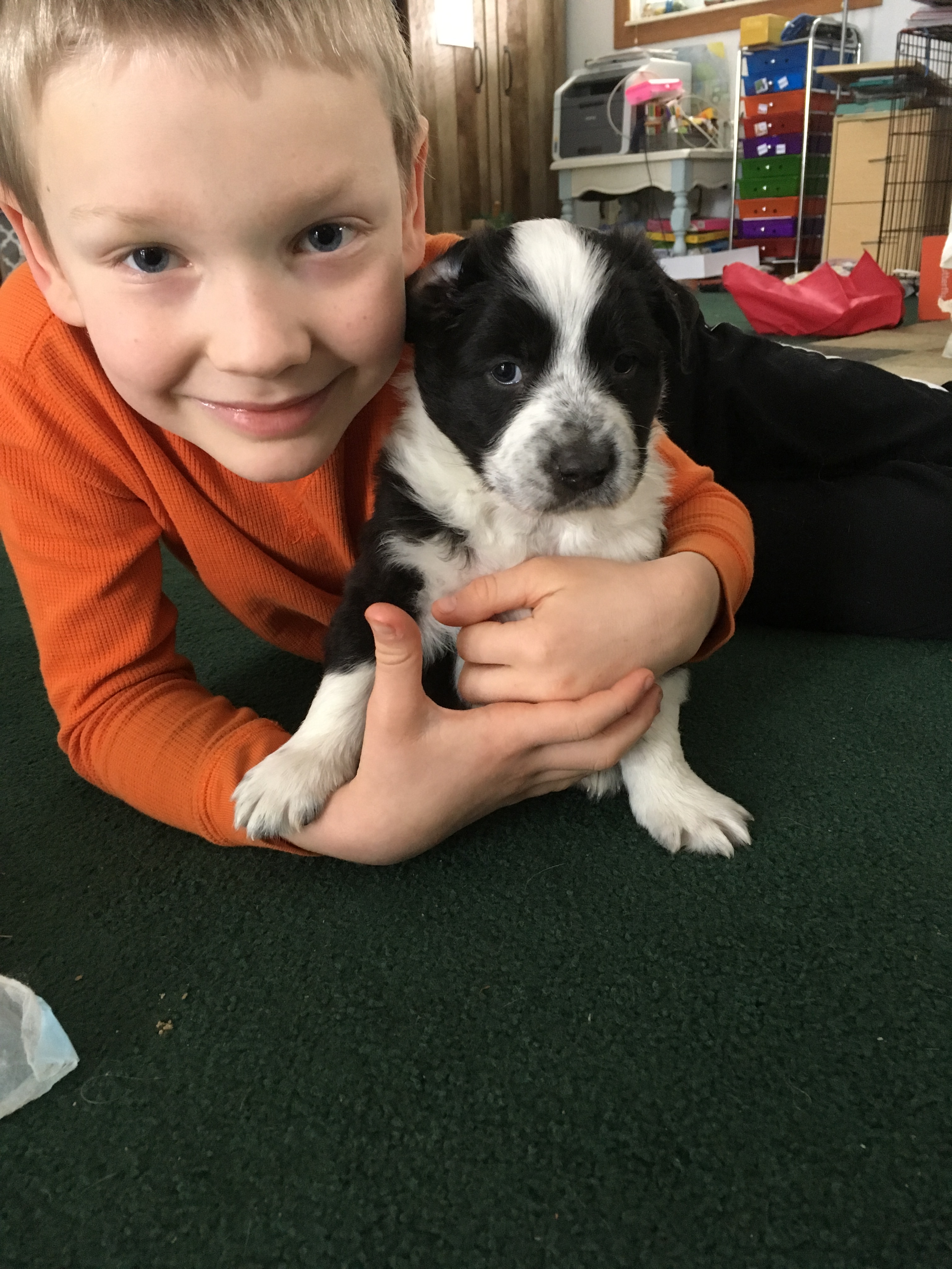 28276125_10112289696736044_1964210014_o