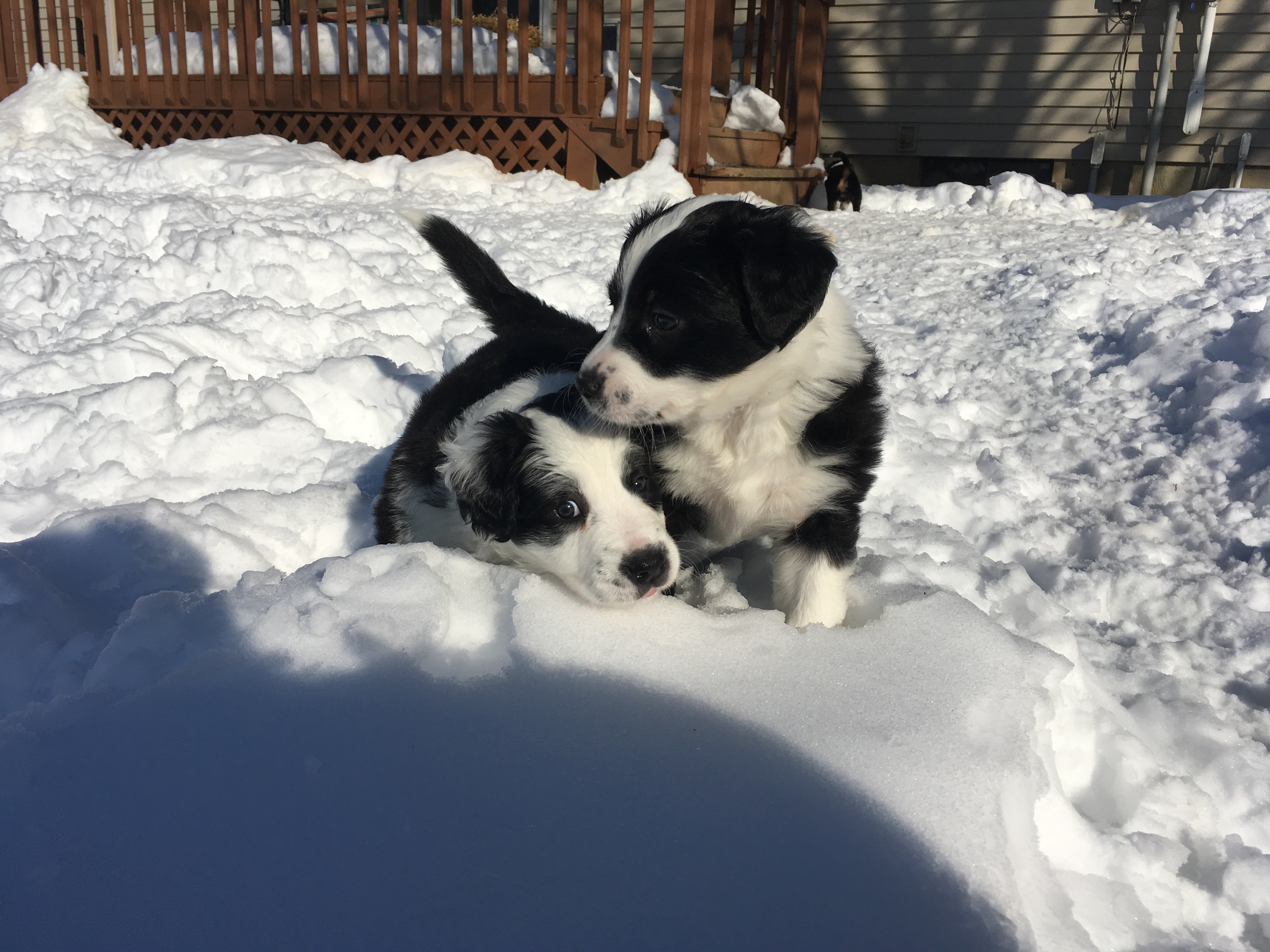 28276145_10112289697584344_1988910010_o