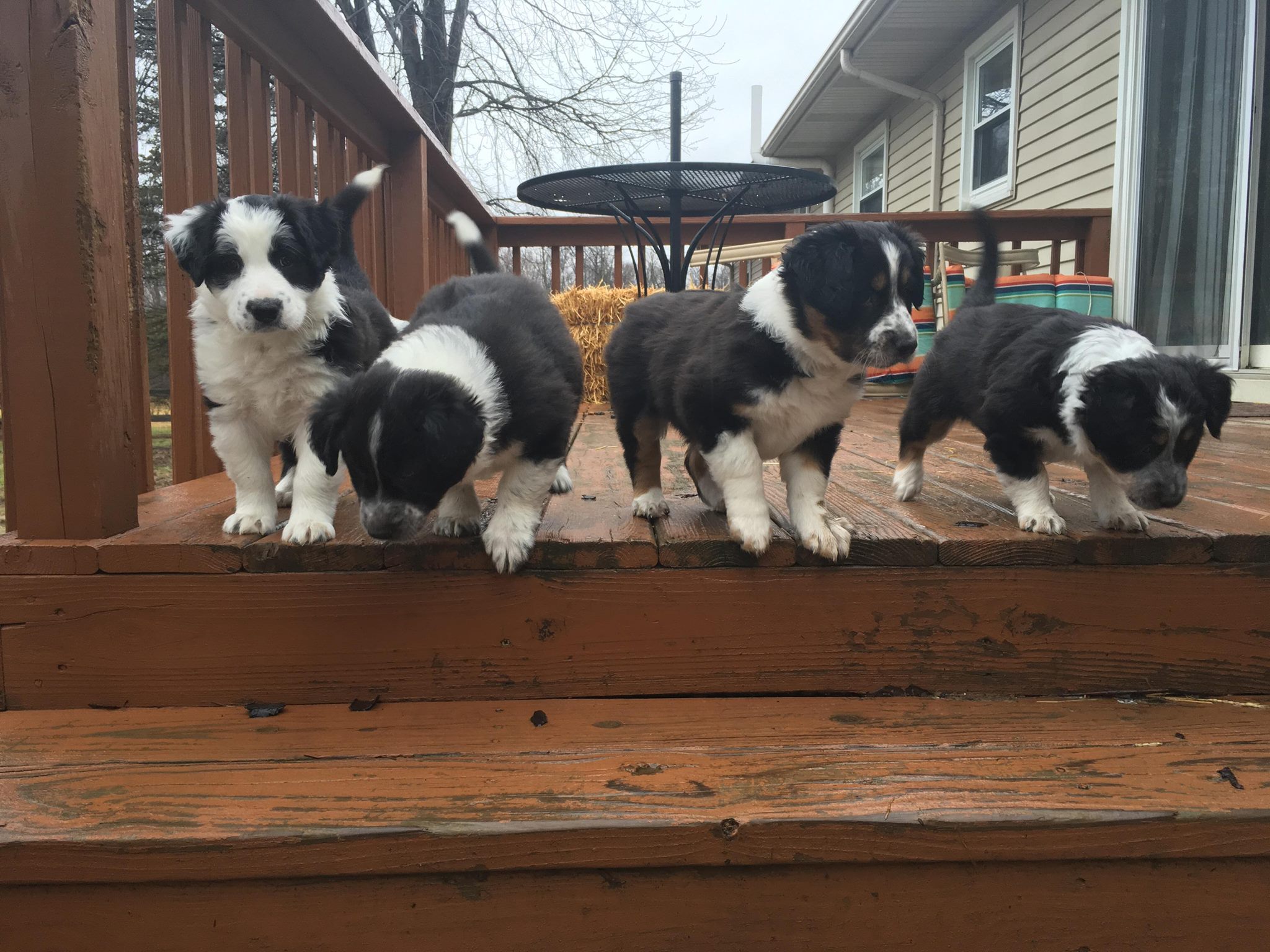 28336808_1837106029923937_6776474853001557826_o