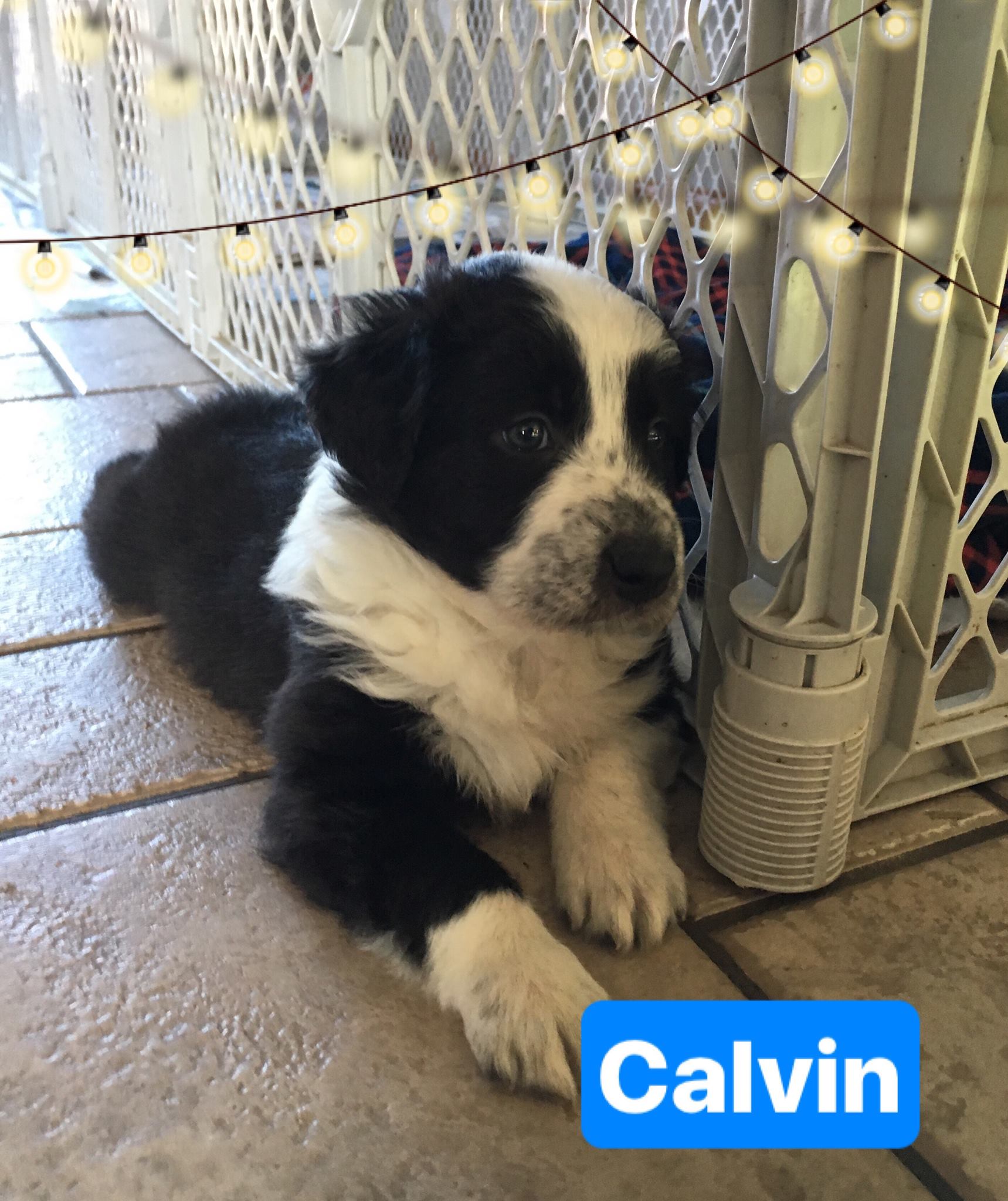 49721822_2014725082162030_187210134009675776_o