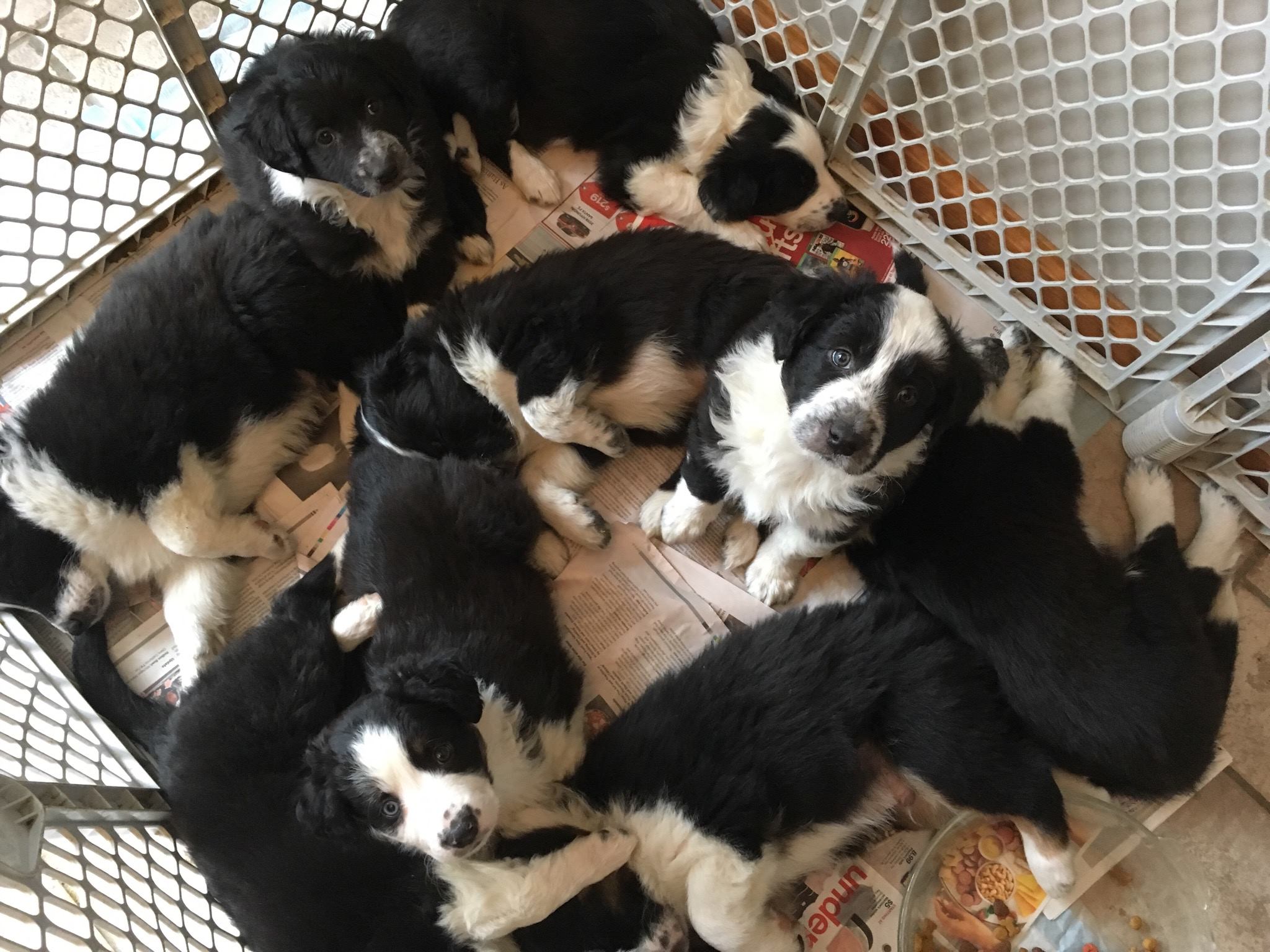 50516674_2018490181785520_5518774014601854976_o